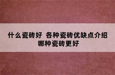 什么瓷砖好  各种瓷砖优缺点介绍 哪种瓷砖更好